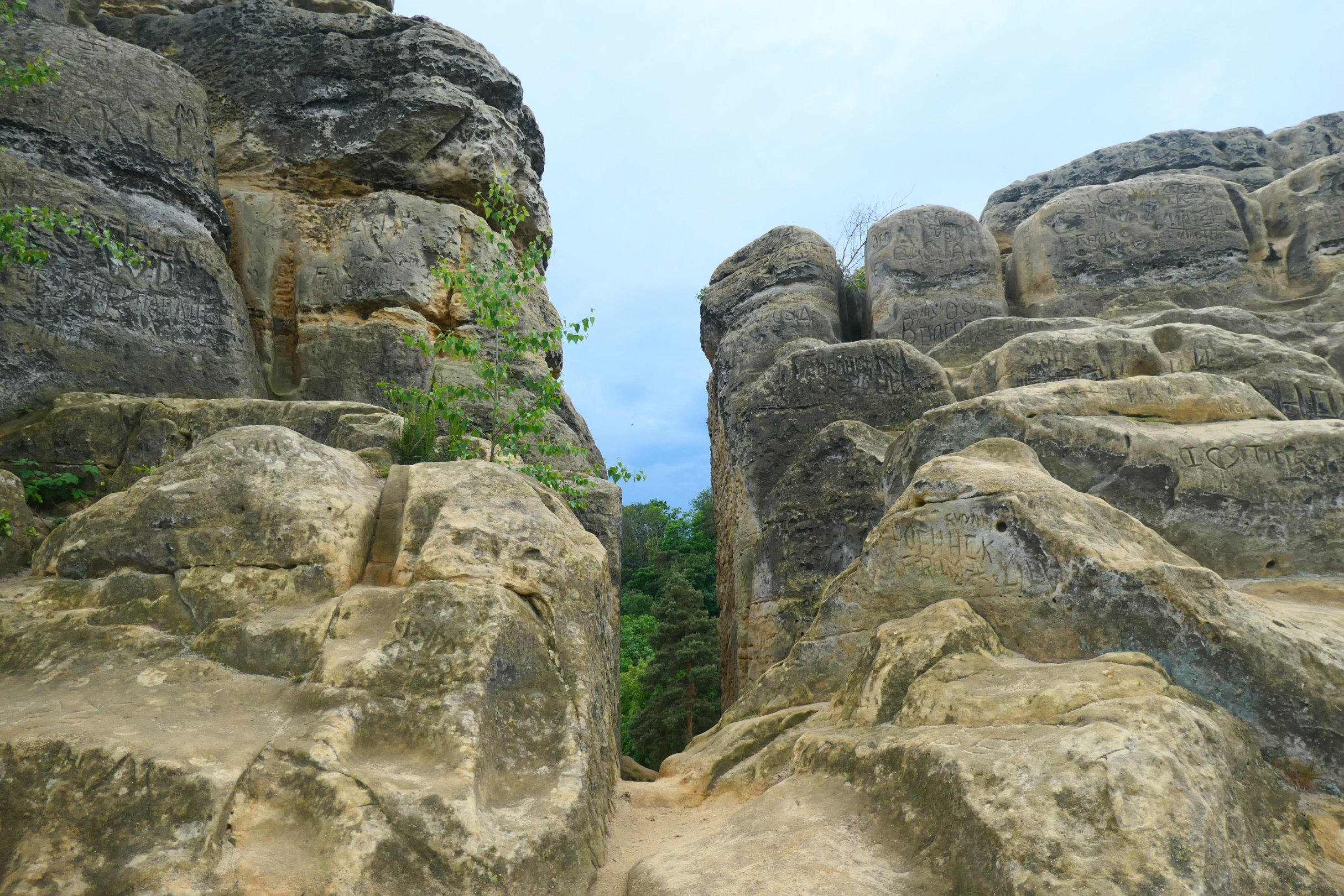 Halberstadt 22